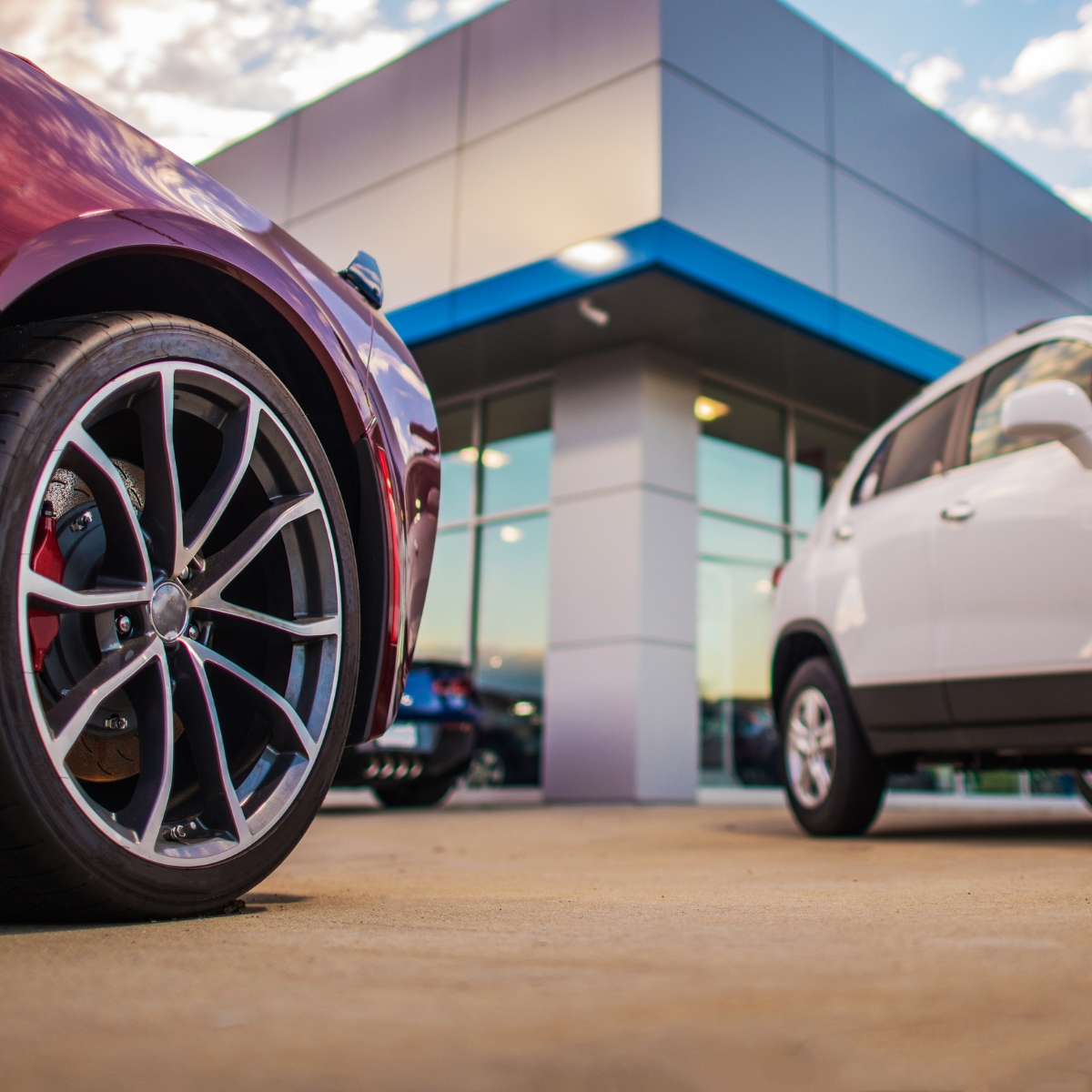 Vehicles parked outside a dealership showroom
